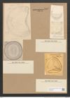 Campylodiscus eximius Greg. (de-Toni-Nr.: Genus 57, Species 2507) Zeichnungen Sammlung Grunow Nr. 5015 (NHMW-BOT-W0373267)
